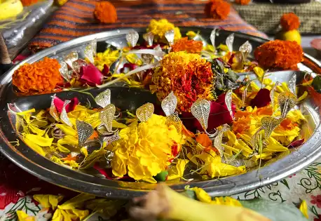 Kalsarp Shanti Puja