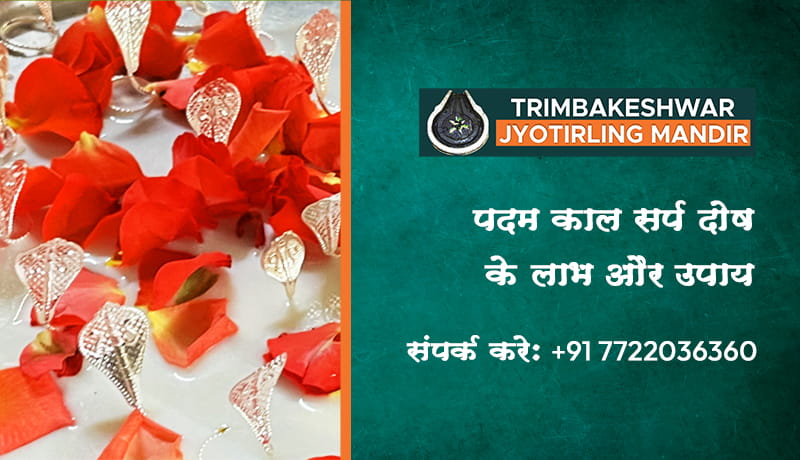पदम काल सर्प दोष के लाभ और उपाय